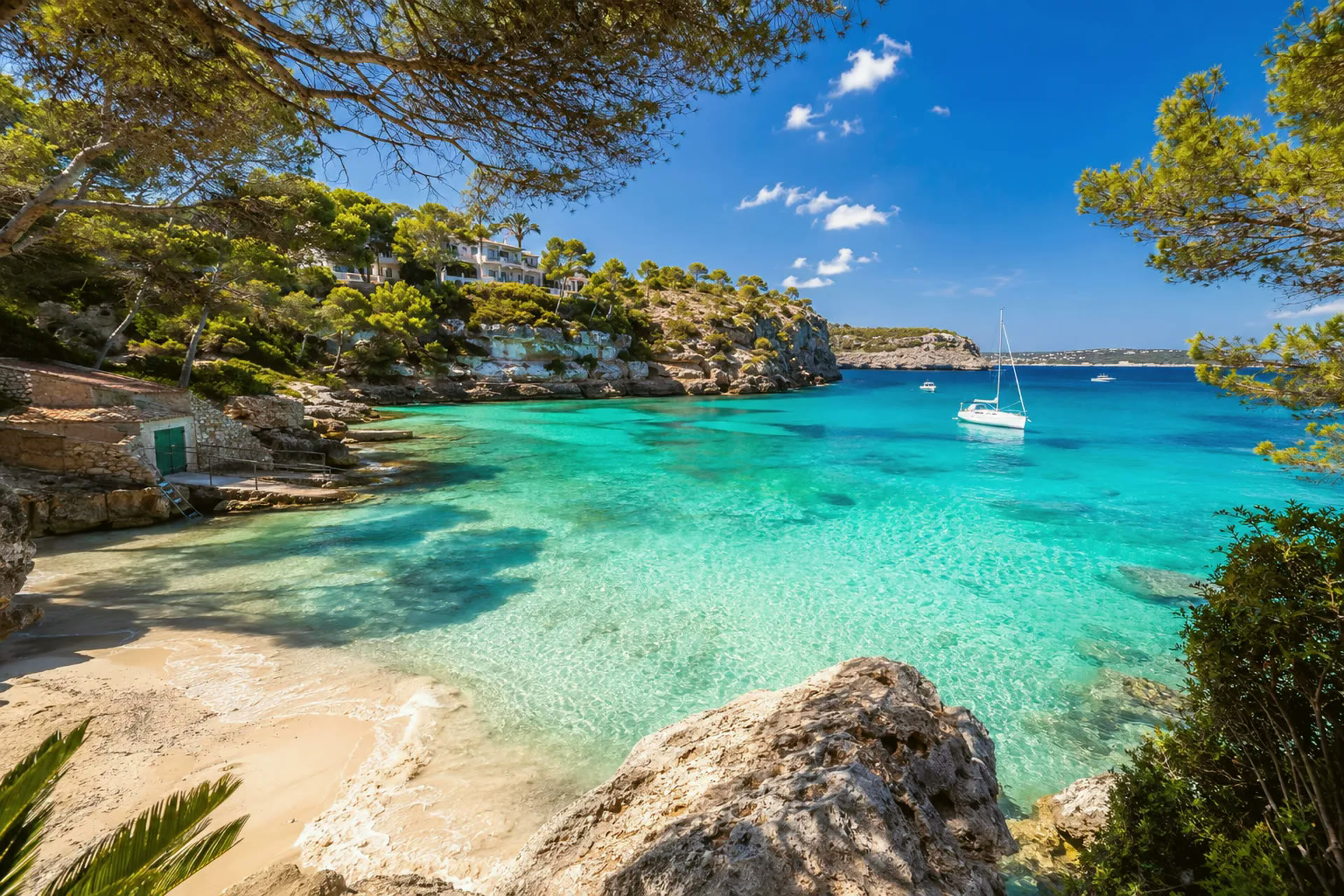 Een cala met helder water en pijnbomen aan de kust van Mallorca